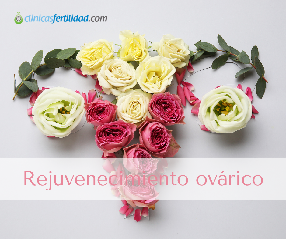 ¿Qué es el Rejuvenecimiento Ovárico y Cómo Puede Beneficiarte? 
